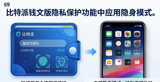 比特派钱包中文版官方下载，详解其核心隐私保护实用措施